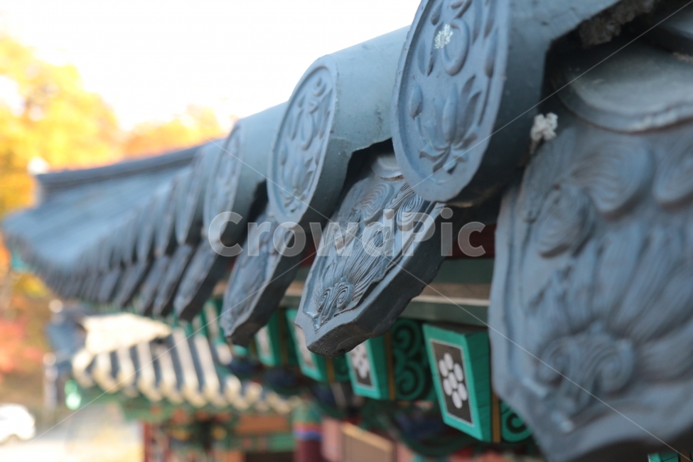한국,한국전통,문화,감성,예술,한국문화,한국예술,해인사,가을,만추,Korea,koreantraditional,koreanculture,culture,teaditional,한국전통,한국문화,korean traditional,korean culture,건축물,건물외관,exterior,building,structure,architecture,construction