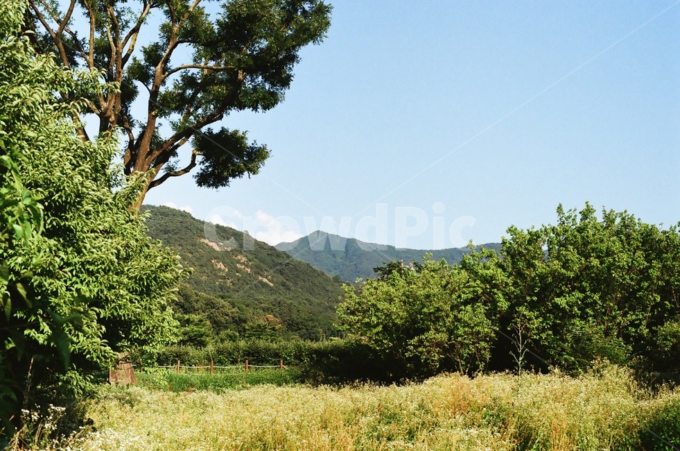 풍경,자연,산,나무,하늘,푸르름,자연,풍경,nature,landscape,outdoors,옥외,grassland,목초지,field,들