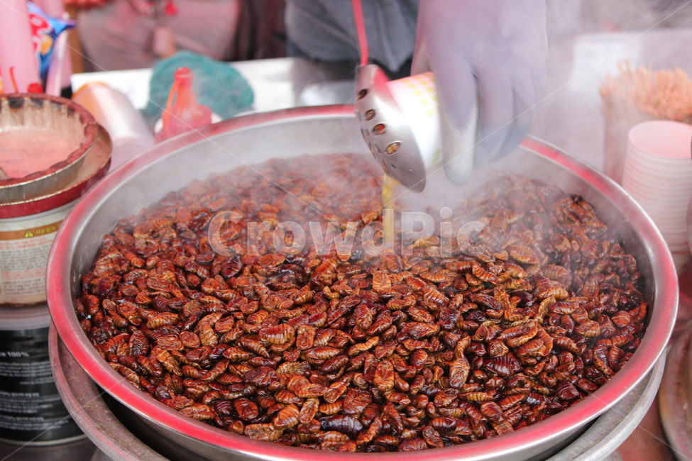 번데기,간식,먹거리,번데기탕,길거리간식,음식,식재료,요리,food,cook,meal,dishes,food reserves