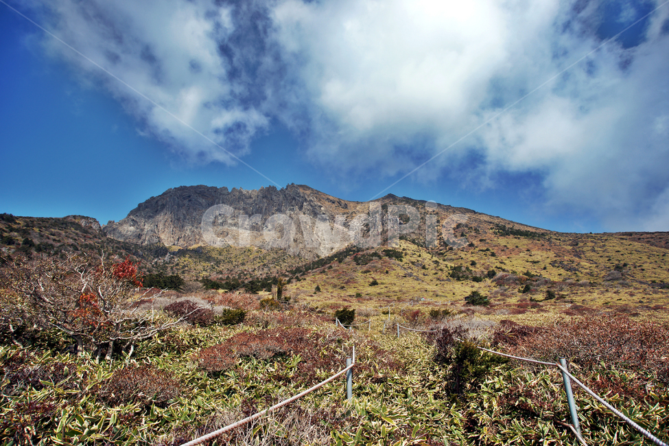 남벽,한라산,제주도,한라산국립공원,돈내코코스,조릿대,관목,푸른하늘,구름,암벽,제주도,jeju,jeju island,nature,자연,outdoors,옥외,plateau,고원