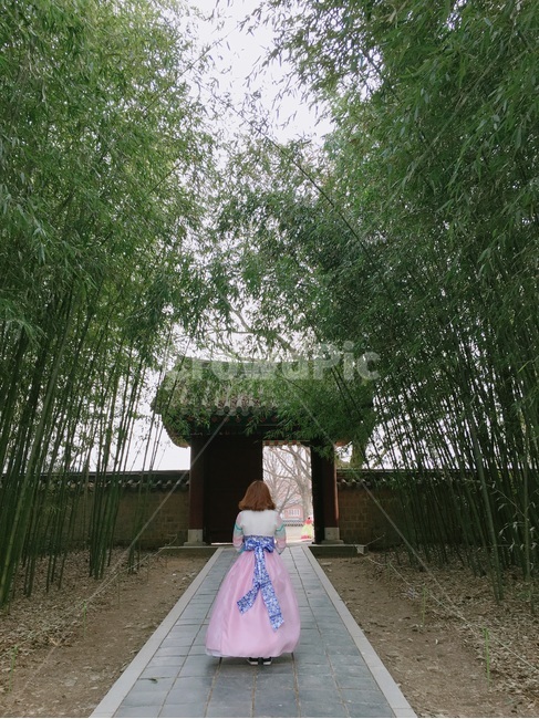 전주,한옥마을,한복,대나무,한옥,궁,뒷모습,인물,한국,전통,한국전통,한국역사,한국문화,전통의상,한국전통의상,기와,jeonju,koreanculture,koreantraditional,koreanhistory,person,hanbok,한복,한국전통의상,hanbok,korean traditional clothes,사람,인물,인간,human,person,여성,여자,woman,female,lady