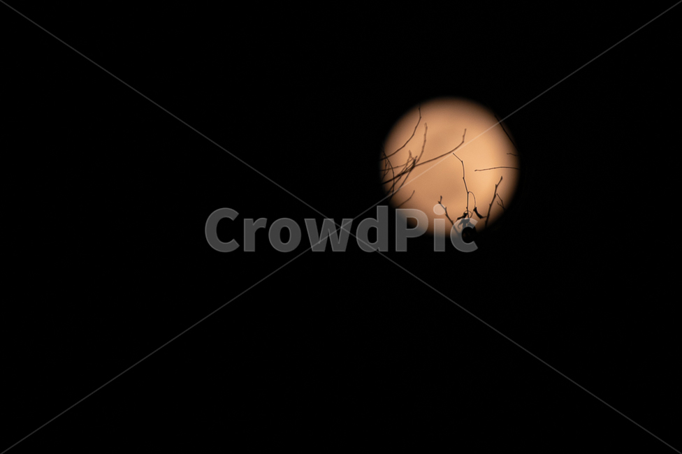 nature,자연,outdoors,옥외,outerspace,천문학,moon,달,space,우주,night,밤