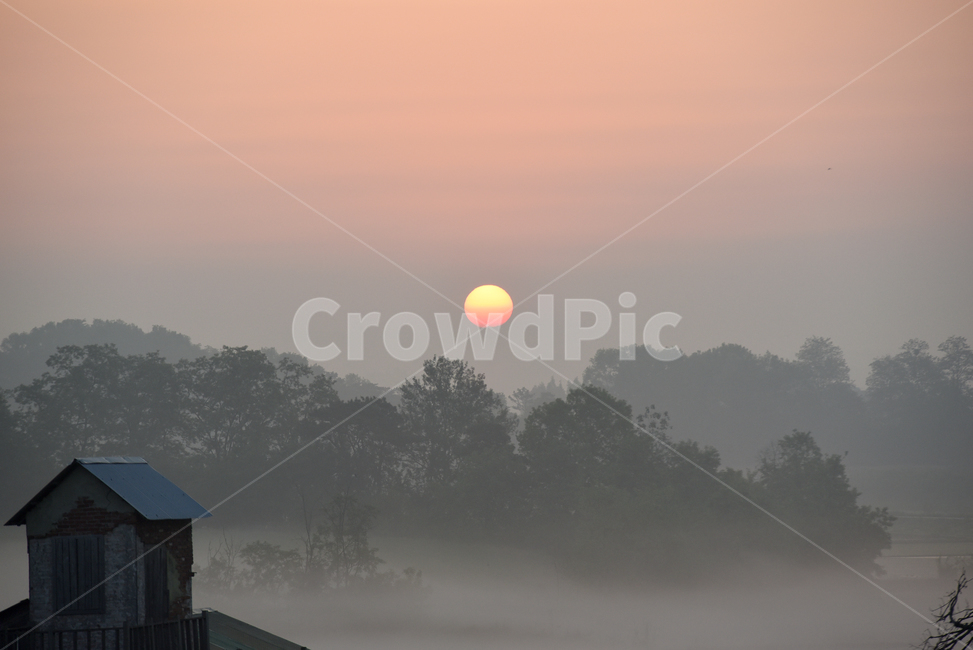 해,태양,일출,동틀녁,안개,물안개,sun,sunrise,fog,자연,풍경,nature,landscape,outdoors,옥외,weather,날씨