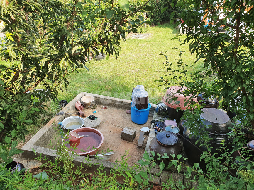 시골,우물,잔디,물,나무,자연,농가,수돗가,그릇,초록,고향,outdoors,옥외,water,tree,시골,마을,풍경,landscape,country,rural,town