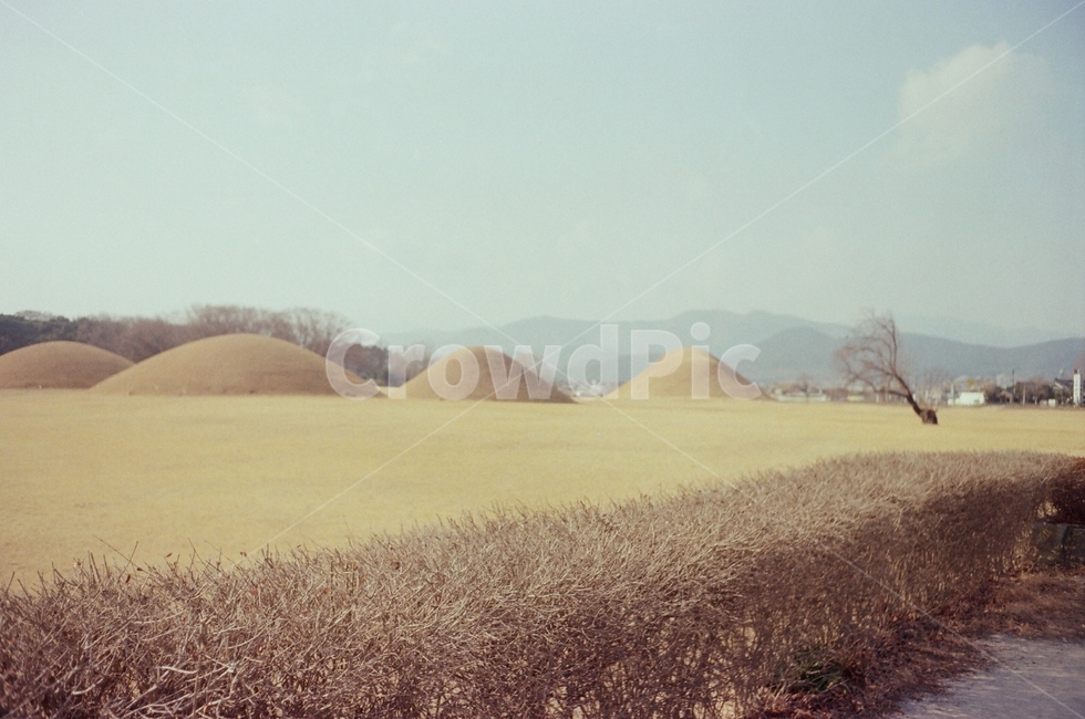 nature,자연,outdoors,옥외,무덤,death