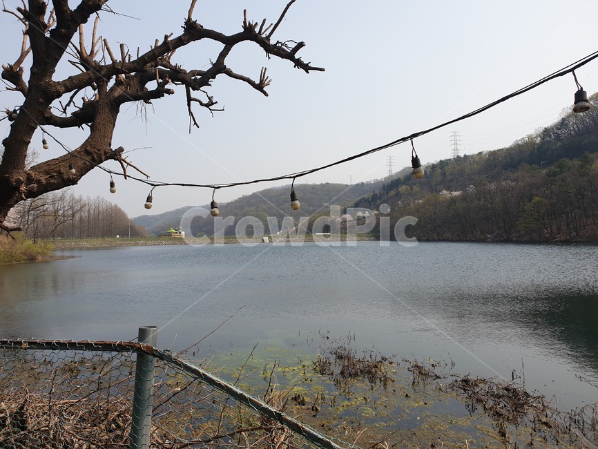 water,물,nature,자연,outdoors,옥외,봄,spring