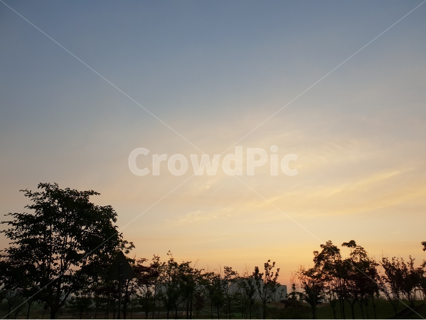 일출,아침,맑음,풍경,자연,자연,풍경,nature,landscape,outdoors,옥외