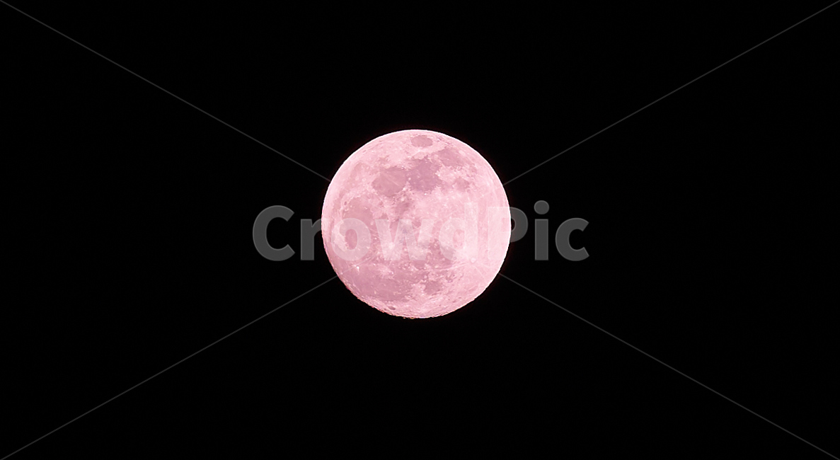 보름달,달,moon,문,분홍달,핑크문,야경,밤,풍경,nightscape,night,landscape,astronomy,천문학,universe,우주,outdoors,옥외,nature,자연,outer space,대기권 밖