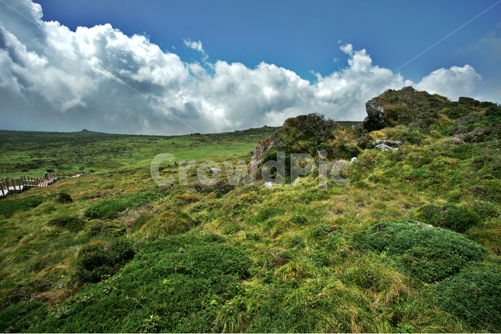 한라산,제주도,명산,영산,영실코스,자연,구름,바위