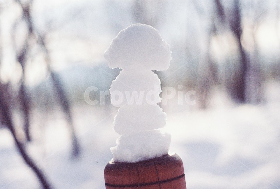 겨울,눈,눈뭉치,snow,숲,나무,자연,겨울,계절,winter,season