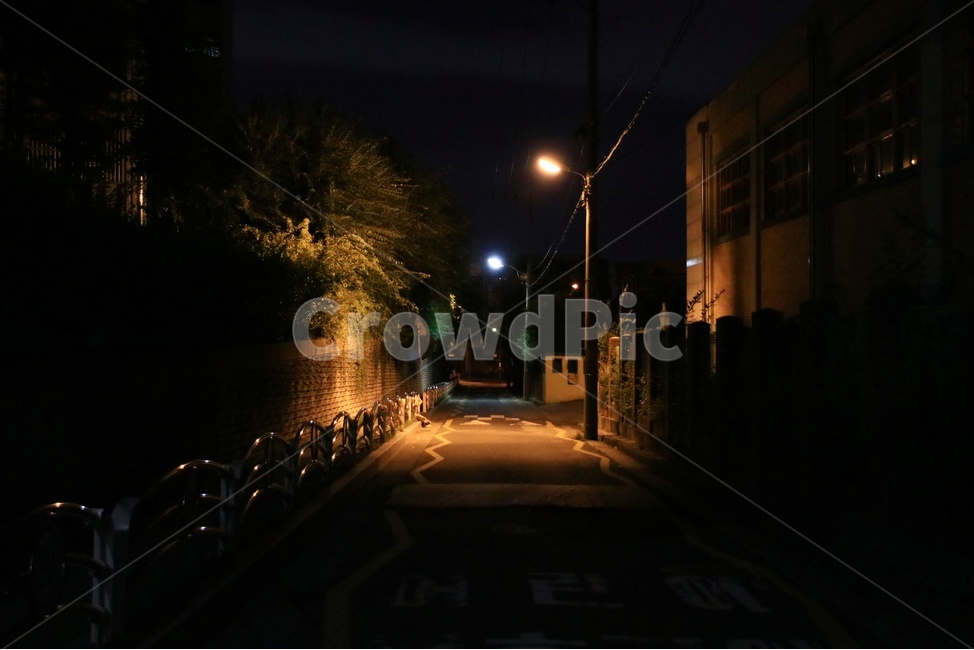 야경,길,밤,가로수,어둠,야경,밤,풍경,nightscape,night,landscape,도시,city,골목길,alley,path,통로
