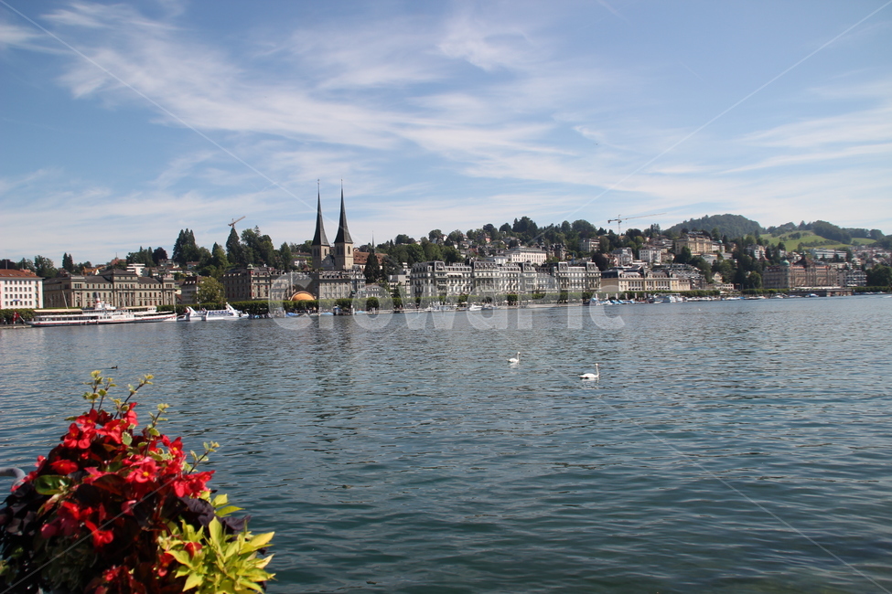 스위스,루체른,호수,swiss,luzern,lucerne,lake,도시,풍경,city,landscape,해외,외국,세계,foreign,oversea,world,세계도시풍경,해외도시풍경,외국도시풍경,world cityscape,water,물