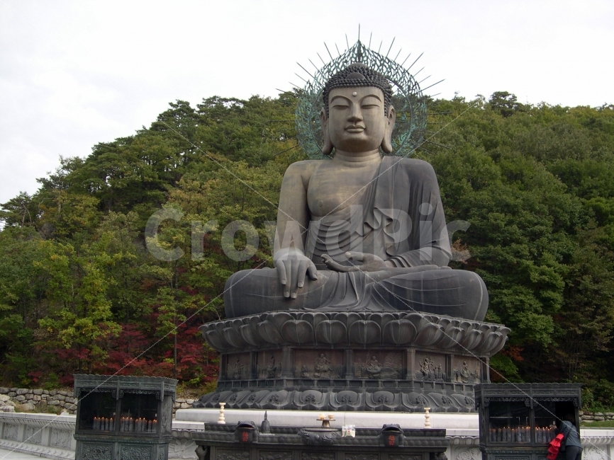 설악산,신흥사,통일대불,부처,불교,종교,절,사찰,불상,조각상,동상,석상,조형물,statue,bronze statue,stone statue,종교,신앙,religion,belief,faith