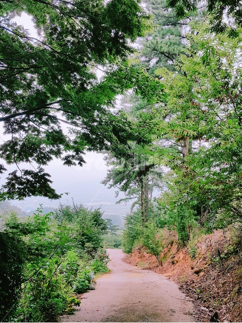 지리산,산길,나무,산,길