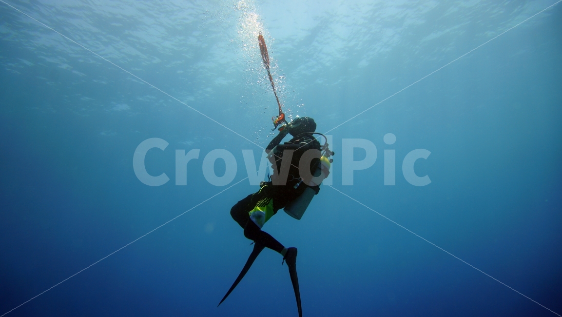 스킨스쿠버,다이빙,스쿠버다이빙,바다,해양스포츠,사람,인물,인간,human,person,스포츠,레저,운동,sports,leisure,exercise
