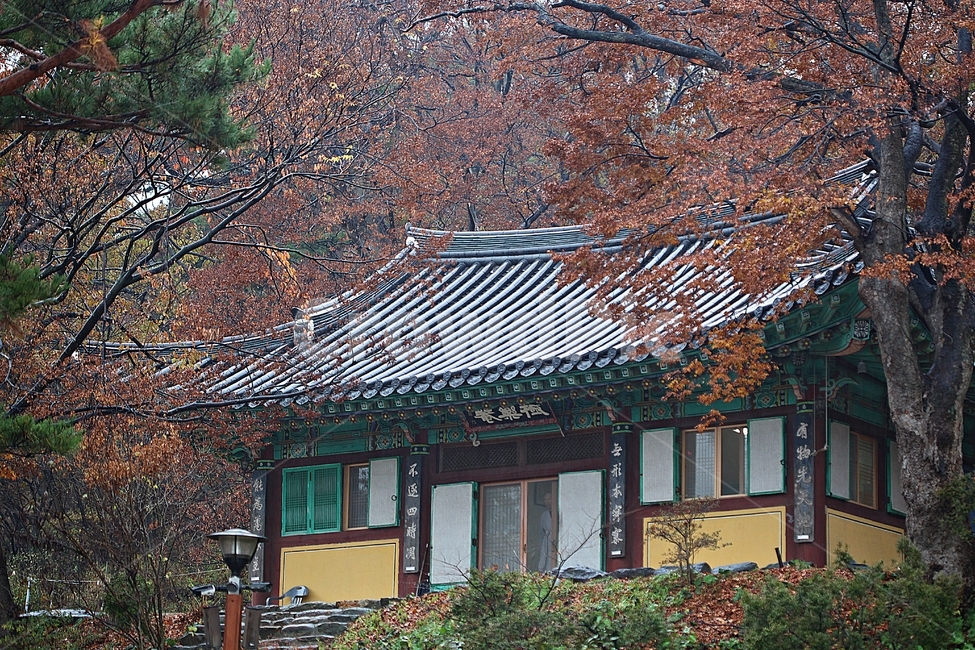 전등사,절,암자,단풍,낙엽,기와집,한옥,전통집,한옥집,집,풍경,자연,식물,옛날집,건물,건축물,가을,가을,계절,fall,autumn,season,한국전통,한국문화,korean traditional,korean culture