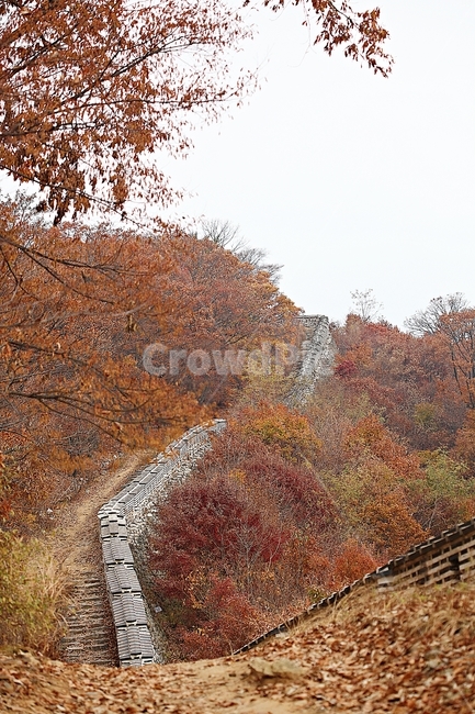남한산성,성곽,성,단풍,낙엽,길,둘레길,숲,숲길,담,돌담,가을,자연,풍경,벽,울긋불긋,산성,식물,가을,계절,fall,autumn,season,tree,나무,plant,maple
