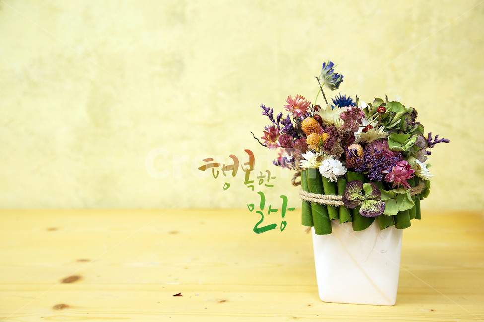 드라이플라워,맨드라미,수국,캘리그래피,행복한일상,식물,자연,plants,nature,꽃,flower,실내용화초,화분,화초,house plant,캘리그라피,손글씨,calligraphy