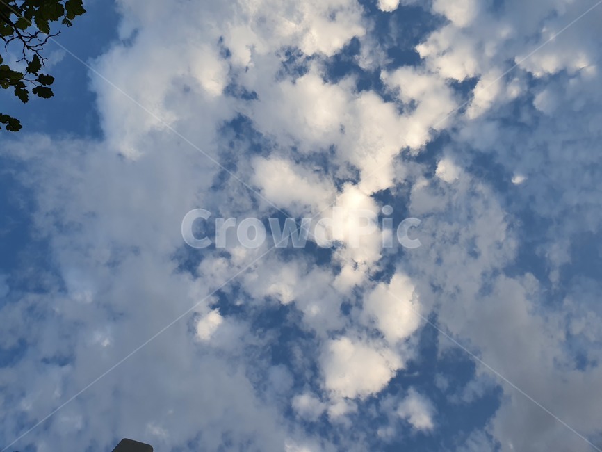 허늘,구름,여름,가을,cloud,sky,nature,자연,풍경,nature,landscape,outdoors,옥외,azure sky,푸른 하늘,하늘