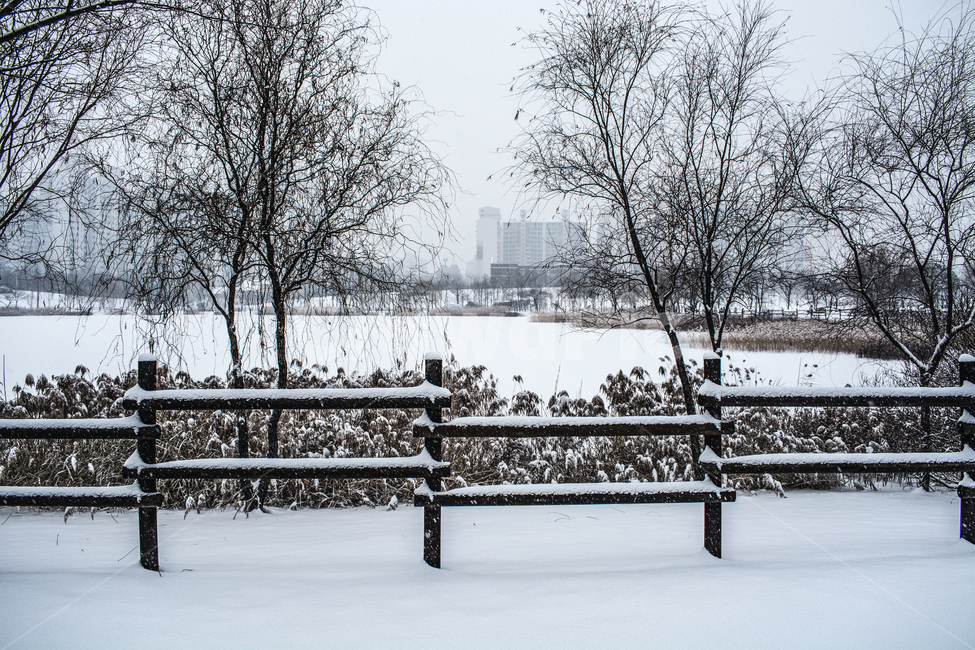 눈발,흰눈,백설,겨울풍경,눈길,겨울,계절,winter,season,자연,풍경,nature,landscape,outdoors,옥외,snow,눈