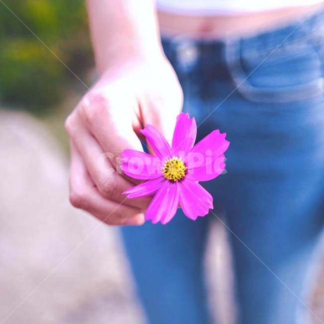 사람,몸,손,신체일부,인간,인물,꽃,정물,감성
