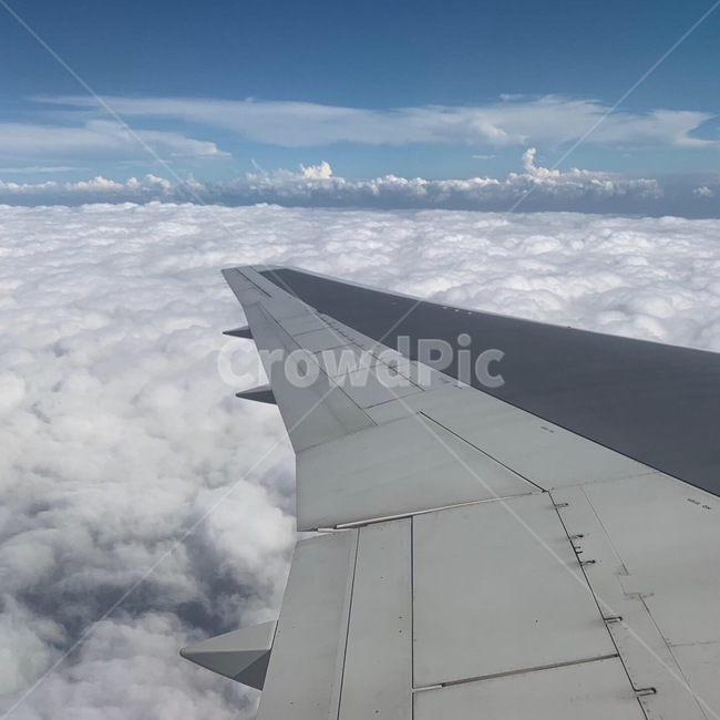 항공기,airplane,비행기,자연,nature,교통,교통수단,traffic,transportation