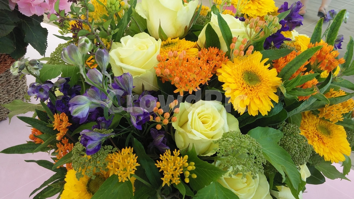 plant,식물,flowerarrangement,꽃꽂이,blossom,flowerbouquet,꽃부케,flower,꽃,식물,자연,plants,nature,꽃,flower