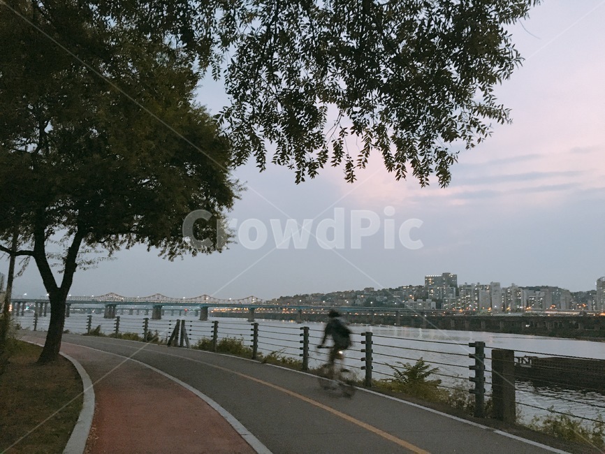 한강,자전거,나무,다리,대교,한남대교,동호대교,물,강,운동,저녁,하늘,맑음,배경
