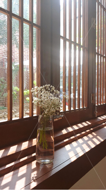 안개꽃,꽃,꽃꽂이,창가,햇빛,식물,gypsophila,flower,flowerarrangement,window,sunshine,blossom