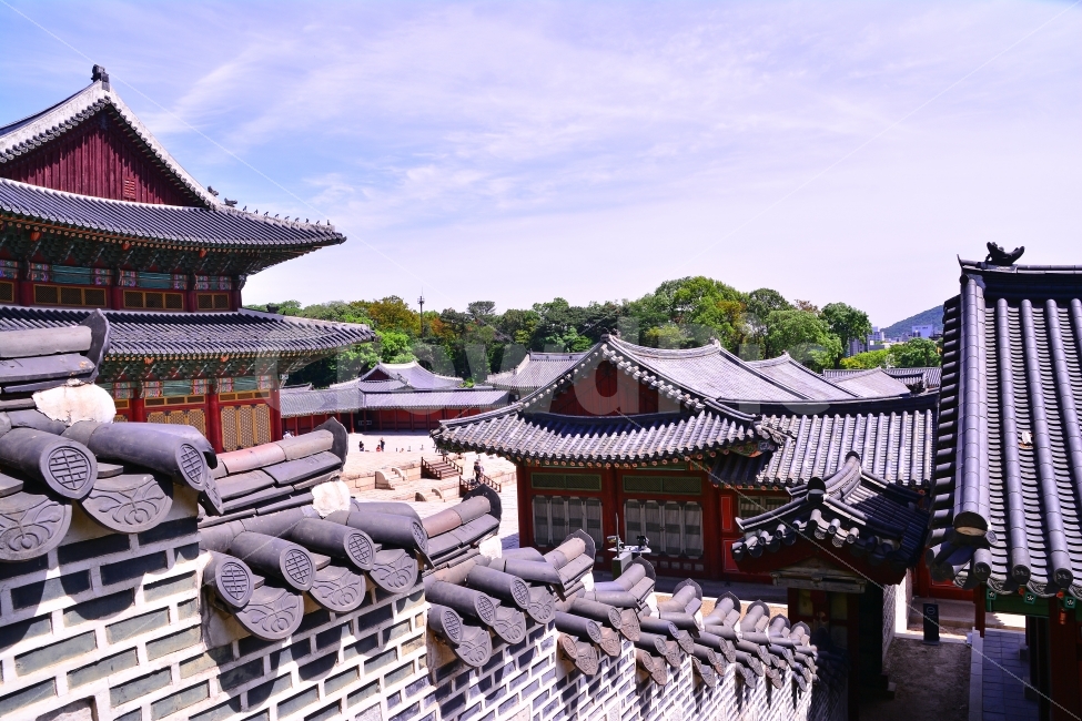 창덕궁,고궁,서울,문화재,문화유산,유네스코,unesco,tour,seoul,traditional,역사,조선왕조,관광지,명소,가볼만한곳,시안,디자인,디자이너,사보,카다로그,편집,출판,교과서,학습지,모바일,콘텐츠,마케팅,패키지,문화,집,하우스,건축,단청,처마,가둥,지붕,돌담,잡지,광고,자료,바탕,배경,백그라운드,background,외국인,투어,가이드,안내책자,하늘,구름,풍경,경관,맑은,청명,칼라풀,아름다움,랜드마크,landmark,tourist attraction,한국전통,한국문화,korean traditional,korean culture