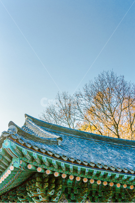 기와,용주사,선,단청,문양,무늬,전통,불교,한국전통,한국문화,korean traditional,korean culture,건축물,건물외관,exterior,building,structure,architecture,construction