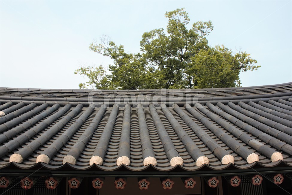 한국,korea,한옥,전통,단청,기와,tradition,건축,architecture,culture,한국문화,역사,history,문화유산,heritage