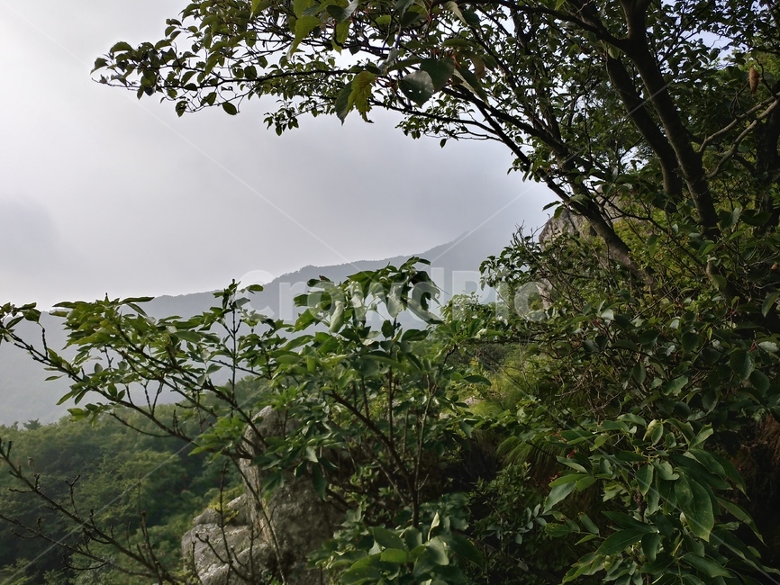 모악산,아침모악산,중인리능선,안개낀능선,전주시,능선조망,안개긴모악산