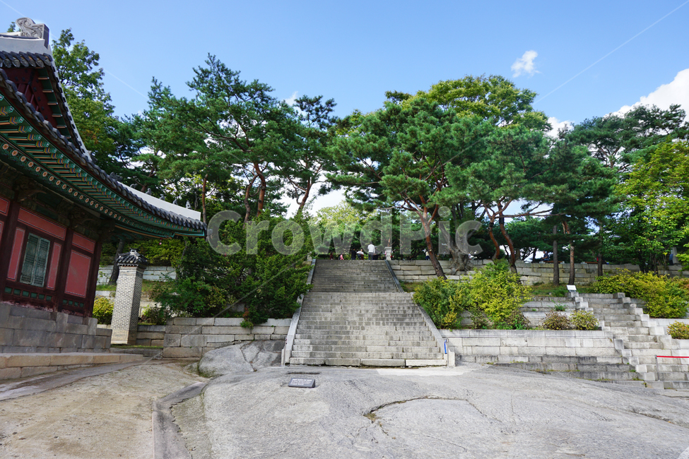 outdoors,옥외,garden,정원,arbour,정자,창덕궁,궁,한국의궁,나무,하늘,한옥,landscape,korea,tree,place,changdeokgungpalace,changdeokgung,architecture,건축물,building,건물,한국전통,한국문화,korean traditional,korean culture