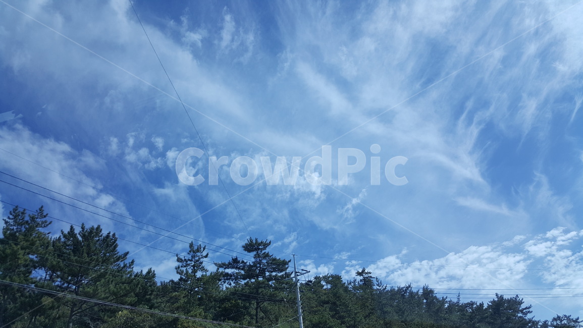 하늘,구름,나무,초록,자연,나들이,자연,풍경,nature,landscape,outdoors,옥외