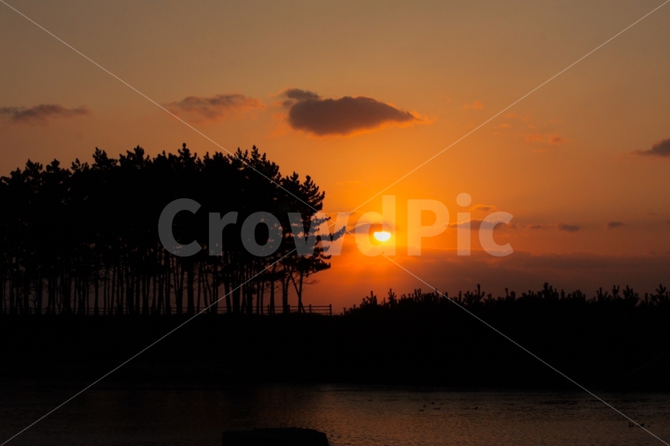 석양,일몰,솔숲,서해바다,가을,히늘,쓸쓸함,자연,풍경,nature,landscape,실루엣,그림자,silhouette,shadow,outdoors,옥외,sky,하늘,dawn,새벽,red sky,붉은 하늘,dusk,황혼,sunset
