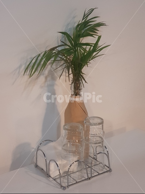 컵,식물,식탁,휴지,table,cup,냅킨