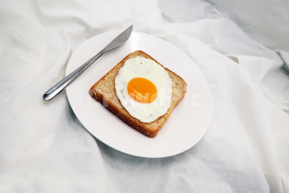 food,음식,egg,계란,bread,빵,toast,토스트,frenchtoast,프렌치토스트,음식,식재료,요리,food,cook,meal,dishes,food reserves,아침식사,조식,브런치,breakfast,brunch