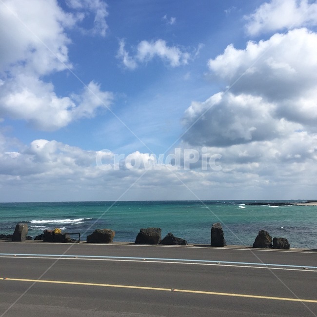 바다,하늘,감성,나무,풍경,여유,한국,자연,풍경,nature,landscape,제주도,jeju,jeju island,asphalt,아스팔트,tarmac,타맥