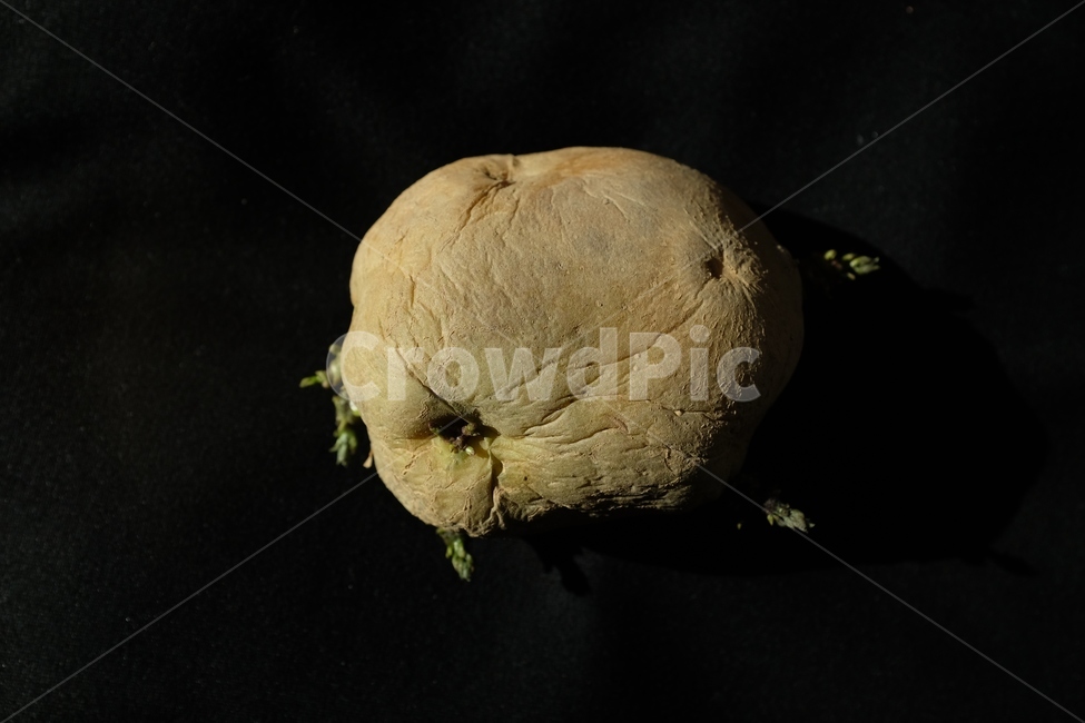 감자,식재료,식물,food,plant,potato,vegetable,채소,foodreserves,근접촬영,closeup,음식,식재료,요리,food,cook,meal,dishes,food reserves,채소,야채,vegetables