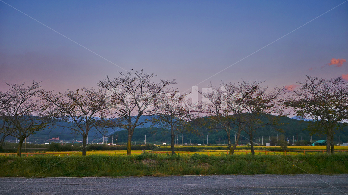 나무,가을,하늘,tree,autumn