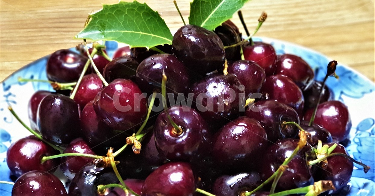 체리,과일,보라색,열매,접시,식물,plant,식탁,파란무늬접시,나무잎,food,fruit