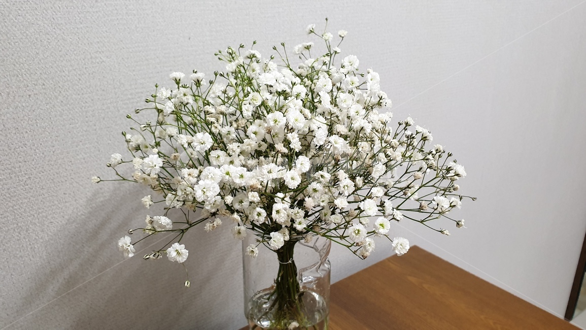 꽃,꽃병,안개꽃,봄,꽃다발,식물,자연,plants,nature,꽃,flower,실내용화초,화분,화초,house plant