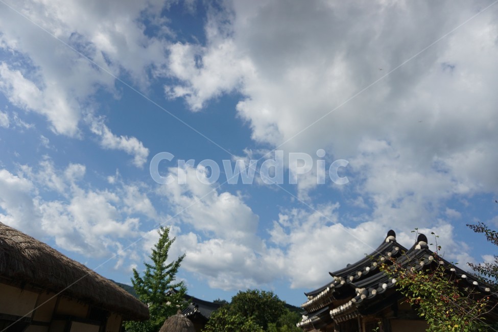 building,건물,architecture,건축물,한국전통,전통,한국,기와,기와집,나무,하늘,sky,tree,구름,파랑,파란색,초록,초록색,흰색