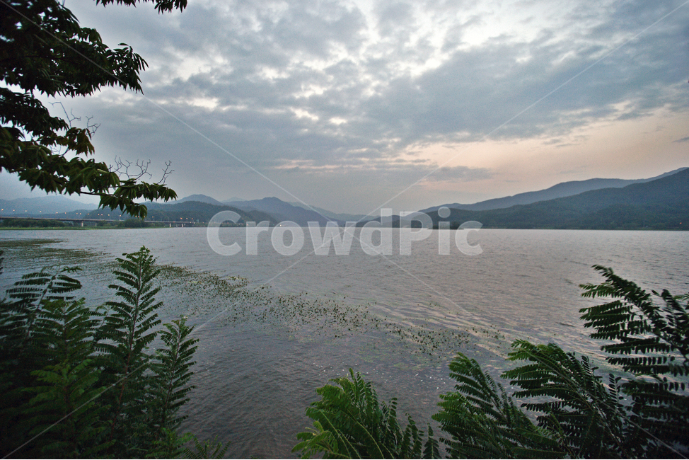 양수리,두물머리,강,정암산,북한강,양평,산,자연