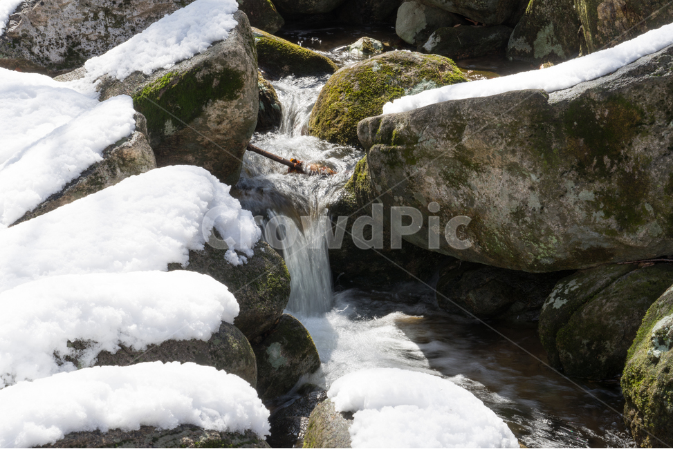 눈,설경,겨울,싸늘함,추위,snow,겨울,계절,winter,season,자연,풍경,nature,landscape,water,물,outdoors,옥외,river,강