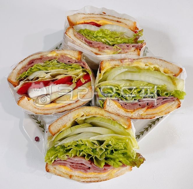 onion,tomato,vegetable,cheese,Lettuce,How to plant,Bacon Cheese Sandwich,cooking,Cheddar Cheese,Bacon Sandwich,bread,cook,sandwich,lettuce,food,meal,bacon,mozzarella cheese,dish,brunch,Sliced Cheese