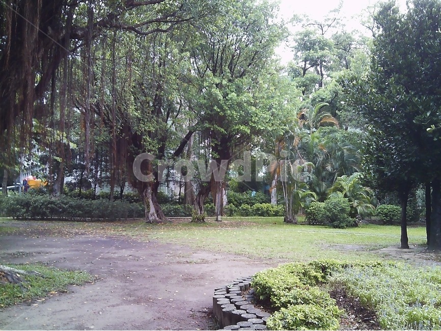공원,숲,녹색,산책,젖은,자연,휴식,park,forest,green,walking,wet,nature,chillout,relax,자연,풍경,nature,landscape,tree,나무,plant,식물