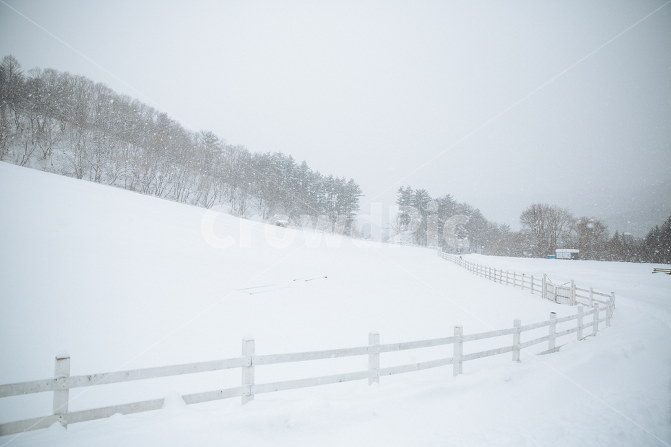 겨울,눈,풍경,감성,스냅,겨울,계절,winter,season,자연,풍경,nature,landscape,outdoors,옥외,storm,폭풍,snow,blizzard,눈보라