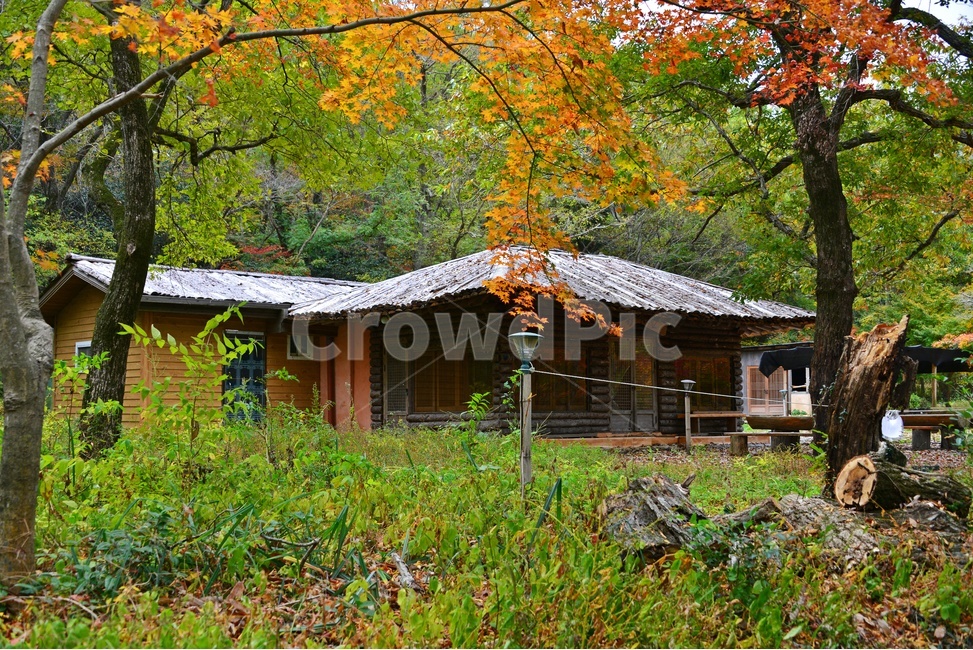 nature,자연,outdoors,옥외,building,건물,housing,주택,가을,추색,만추,단풍
